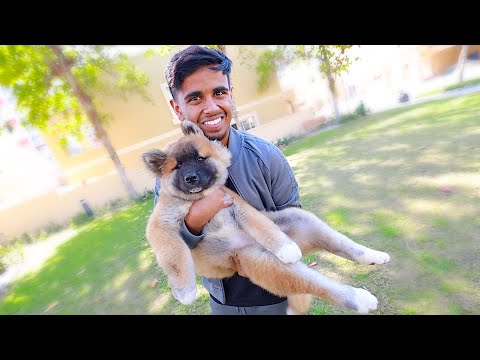 I GOT A NEW PUPPY *MOST EXPENSIVE DOG* !!!