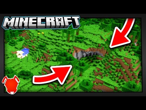 THIS is the RAREST BIOME in MINECRAFT?!