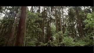 Said The Whale - &quot;Lover/Friend&quot;