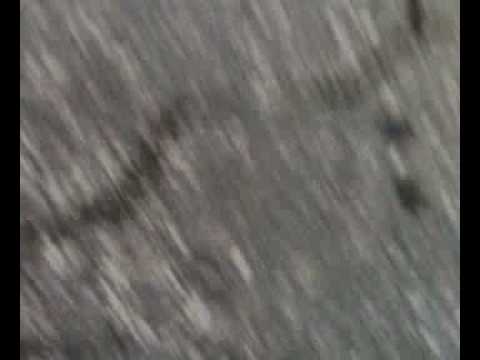 nisipari nebuni din coltul vesel