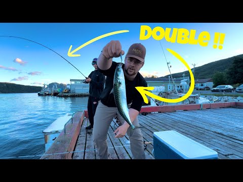 Fishing with ULTRA-LIGHT GEAR for POWERFUL Atlantic Mackerel ! (Super FUN Techniques !! )