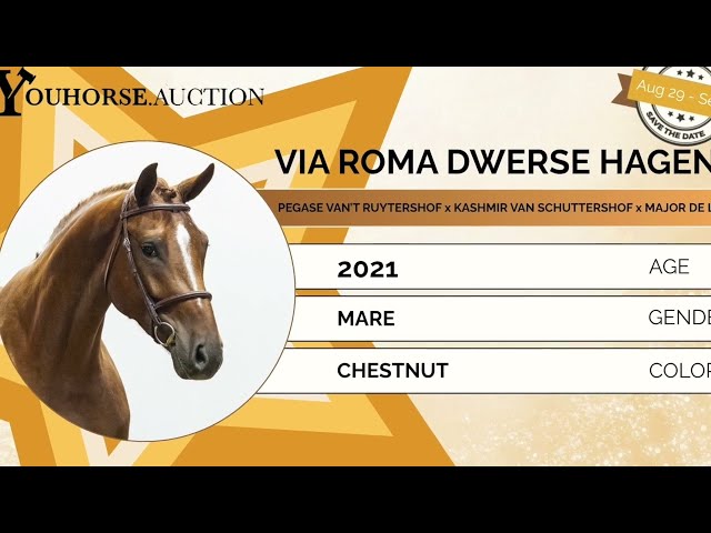 Via Roma showvideo