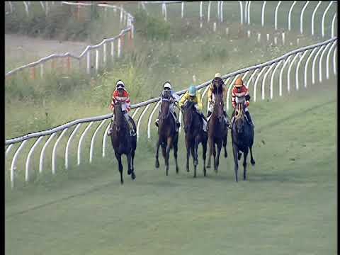 Galoppo 17/08/2019 - 4ª corsa