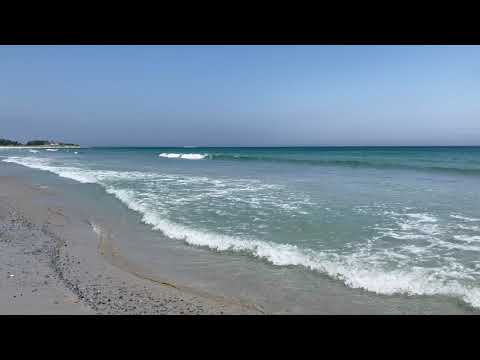 📍Stoney Island Beach, Cape Sable Island, Nova Scotia
