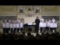 Венский хор мальчиков/Vienna Boy's Choir/Russia. 2011г. 