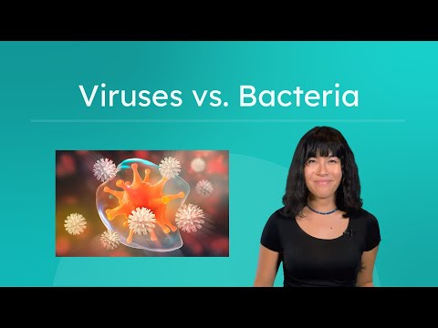 Viruses vs. Bacteria - Are Viruses Alive?