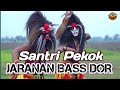 DJ SANTRI PEKOK FULL JARANAN BASS DORR OJO MELU NDADI LORR