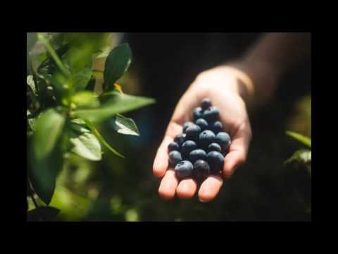 Viktors Zemgals - Nezinu Es