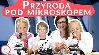 Jak przygotować domowy preparat do mikroskopu | Nauka Jest Fajna #eksperymentyzdziećmi
