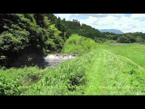 動画サムネイル
