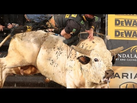 TOP BULL: Palm Springs throws Guilherme Marchi  (PBR)