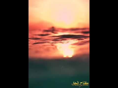 Hfz. Jasmin Mustajbašić