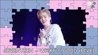 SEVENTEEN (세븐틴) - WHAT'S GOOD (Live) [SUB ESPAÑOL]