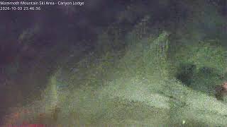 California · Canyon Lodge live stream