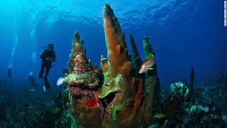 8 Endangered Sites to See Now | UNESCO's endangered World Heritage Sites | Historic Preservation