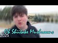 Oh Shiitake Mushrooms Daddy Temper Tantrum 2017 And 2025 Intro