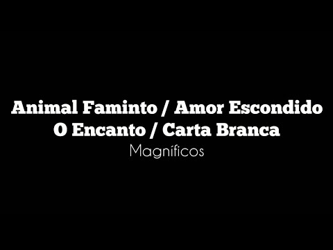 Animal Faminto - Banda Magníficos