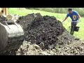 Video 16 Video thumbnail