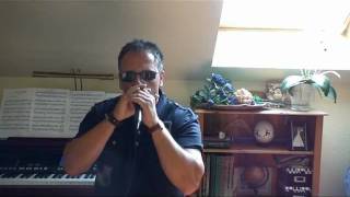 Tougher Than The Rest - Bruce Springsteen (Full harmonica cover)