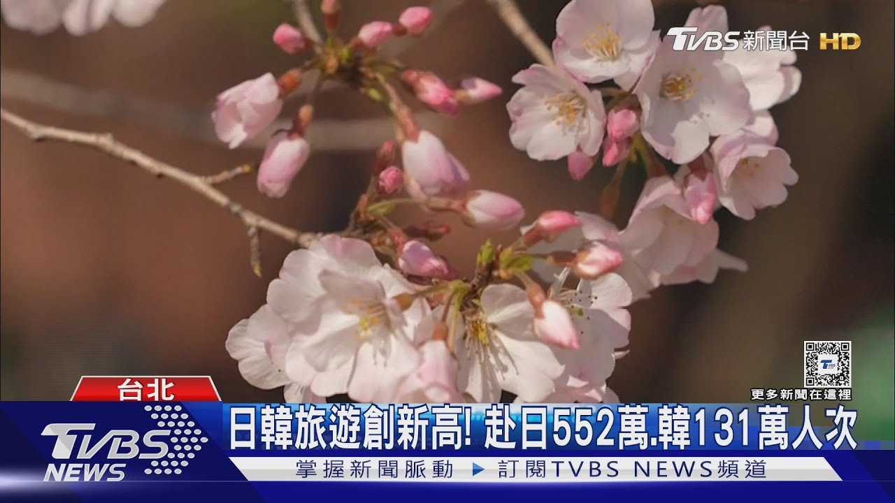 清明賞櫻夯! 日關西2.4萬元PK韓釜山2.9萬元
