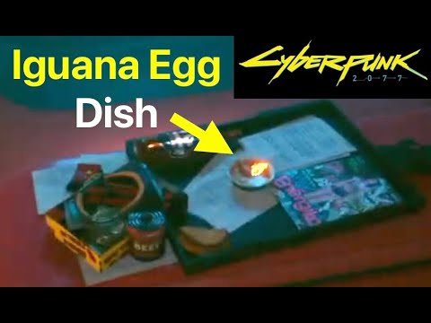 Cyberpunk 2077: How to Get Dish For Iguana Egg (Missing Bowl For