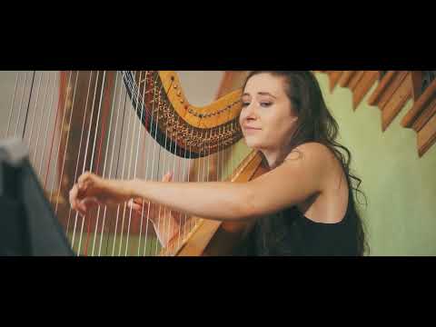 Promotional video thumbnail 3 for Liz Harpist