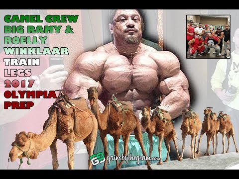 Big Ramy and Roelly Winklaar train legs at Oxygen Gym, Kuwait Mr. Olympia 2017 Prep