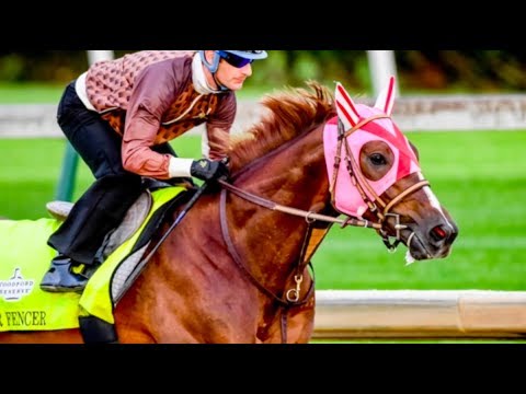 Belmont Derby Profile: Spinoff,Plus Que Parfait, Master Fencer