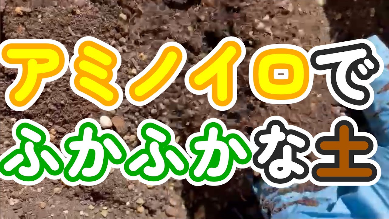 アミノイロを使うと土がふかふかになるワケ【ふかふかな土を作る】