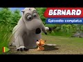 Bernard Bear 58 El Perrito 2