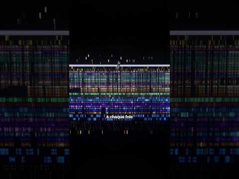 C’est quoi ces ÉNORMES timelines de vidéo youtube ?