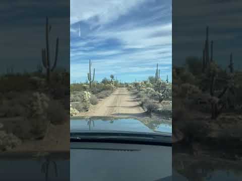 The road in the campground