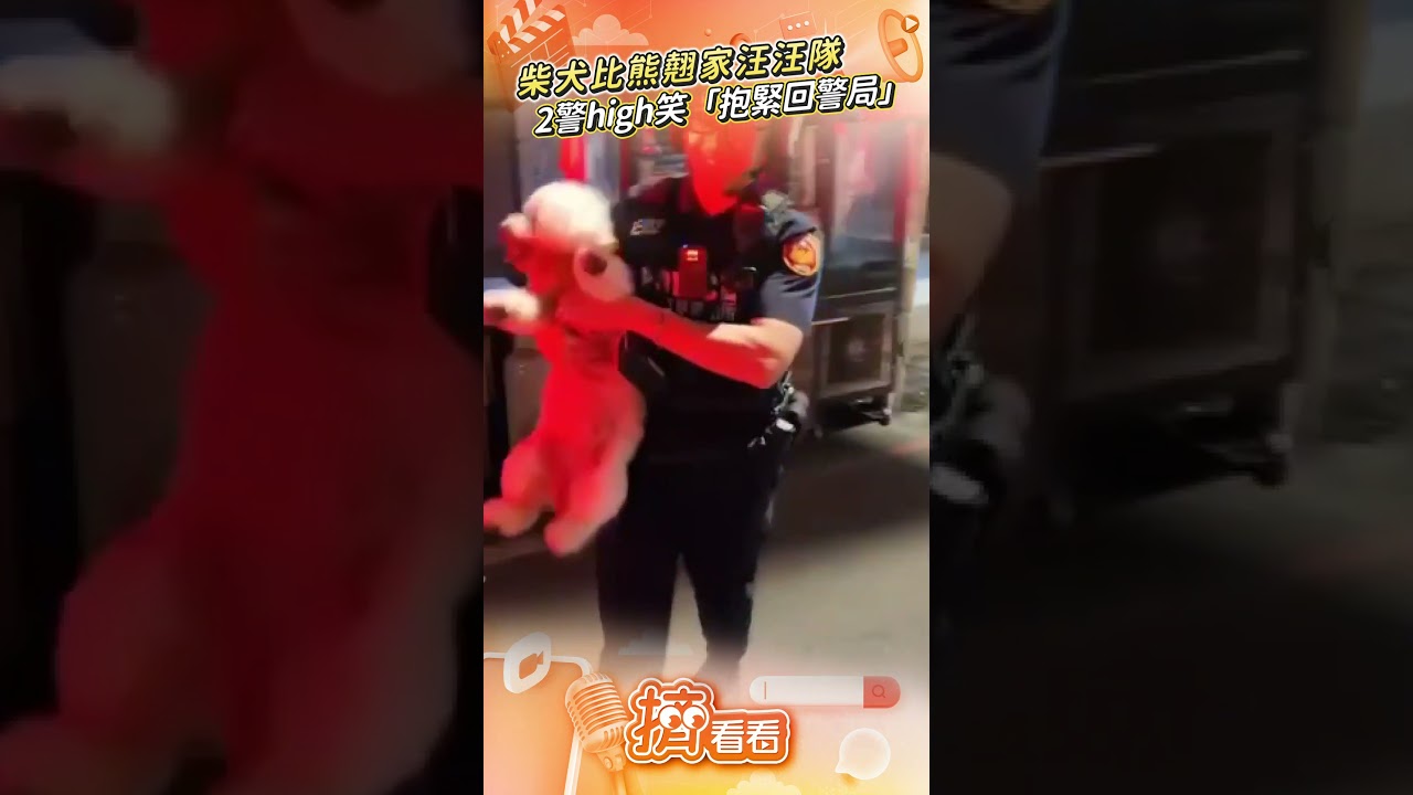 有片/比熊、柴犬逃家夜遊上街跑!員警「逮捕」2隻微笑毛小孩