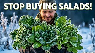 Stop Buying Winter Salads—Grow These Cold-Hardy Greens Instead