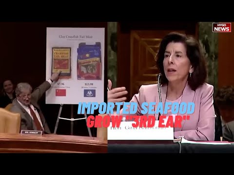 Kennedy to Raimondo on imported seafood & crawfish, antibiotics to grow '3rd ear'