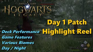 Steam Deck: Hogwarts Legacy Highlight Reel (Settings/Performance, Night/Day, Biomes, Mechanics)