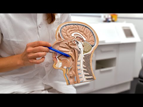 Obstruktive Schlafapnoe: Diagnose und Therapie nächtlicher Atemaussetzer