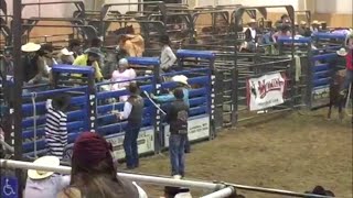 faze tari cowboy T-Rex