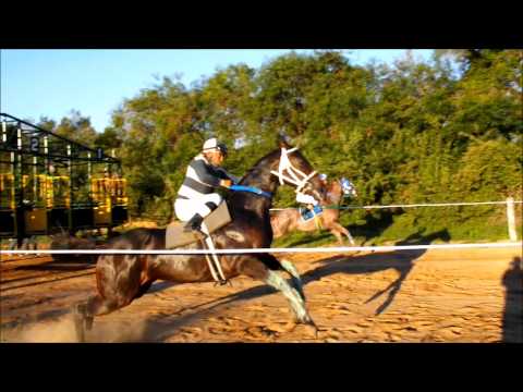 FANTINO; 4a Sta Ana 26 de Abril