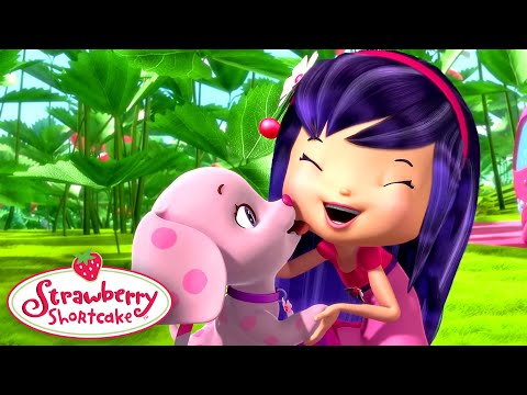 Perfect Pets ๐ Strawberry Shortcake ๐Mega Compilation ๐ Kids Show - Kids TV Series, Kingdom Kids Zone - Strawberry Shortcake - WildBrain