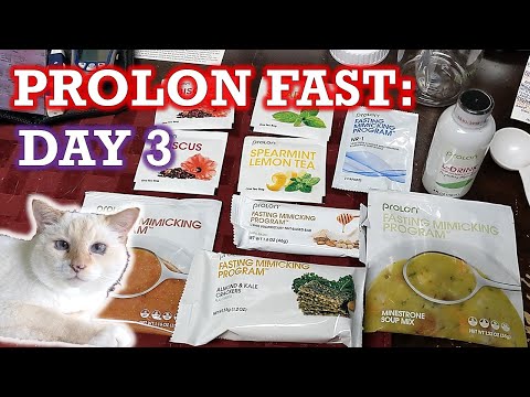 PROLON FAST Review: DAY THREE food, tips, energy update!
