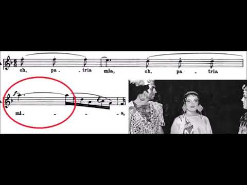 THE VIBRATO - proper action