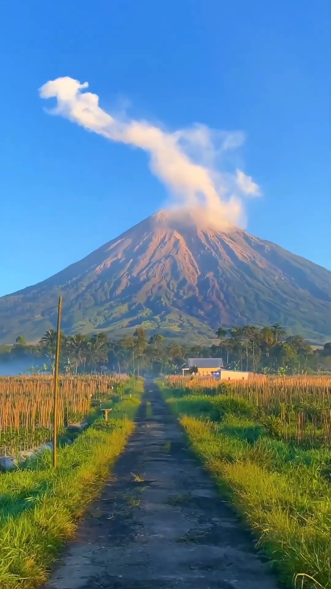 Jangan lewatkan keindahan Gunung Semeru dari Lumajang, pemandangannya bikin hati adem! 🌄✨