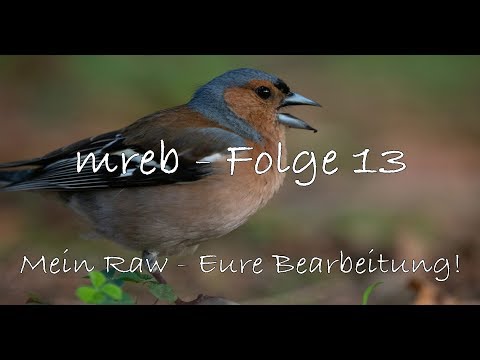mreb - Mein RAW - Eure Bearbeitung Folge 13