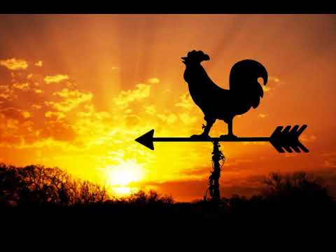 Flying Lotus x Adult Swim Type Beat- Bright n Early