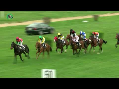 15.4.2018 - 8. dostihy - Cena Miderosa