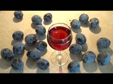 Wino śliwkowe🍷 - prosty przepis na domowe wino ze śliwek węgierek