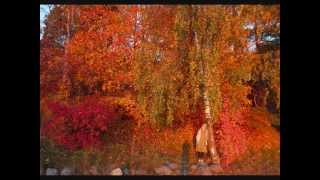 Love theme, composed by Juhis Oksanen