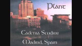 ROBERT PLANT : ACOUSTIC 1993 : 29 PALMS .