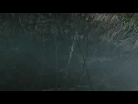 Comparing King Kong: The Log Sequence